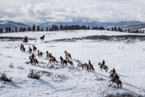 a group of people riding horses across a snow covered field