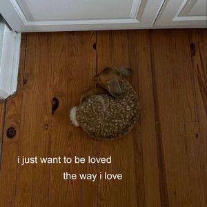 a small dog curled up in a bed on the floor next to a door that says, i just want to be loved the way i love you