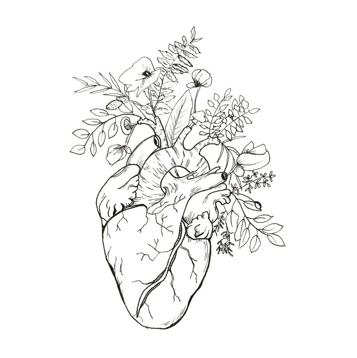 a drawing of a human heart with flowers in it's center and leaves on the side