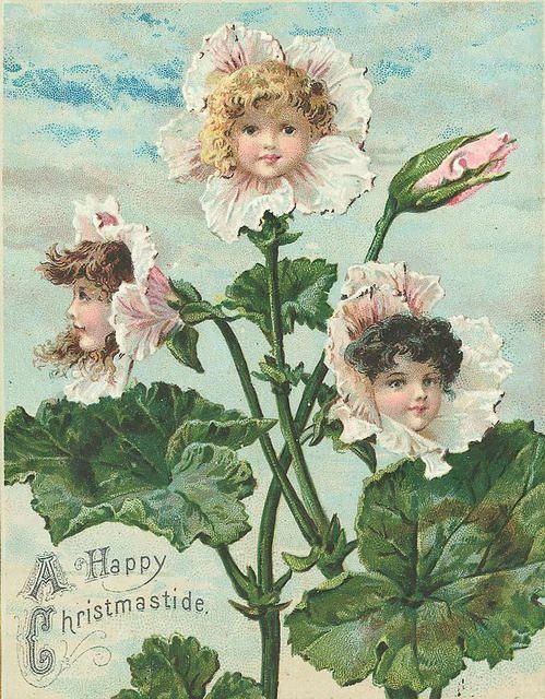 Flowers With Faces, Vintage Flower Fairy, Images Victoriennes, Victorian Christmas Cards, Victorian Cards, Era Victoria, Flower People, Petunia Flower, Flower Kids