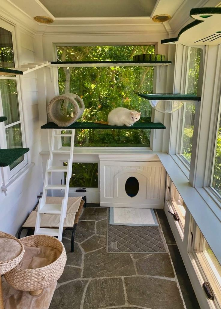 a white cat sitting on top of a window sill next to a dog house