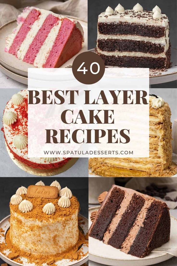 the top 40 best layer cake recipes