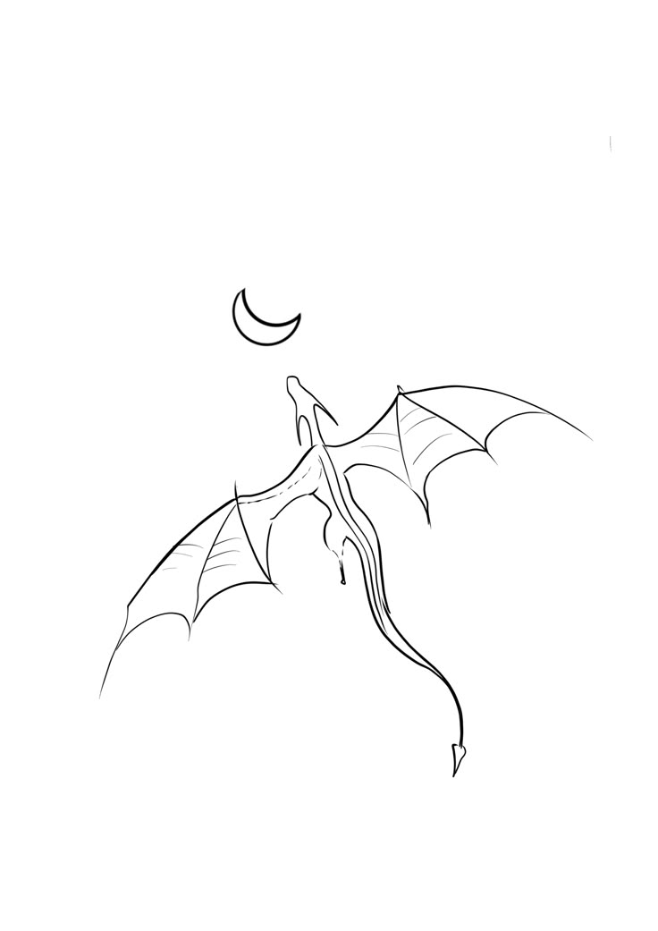 a drawing of a bat flying in the sky