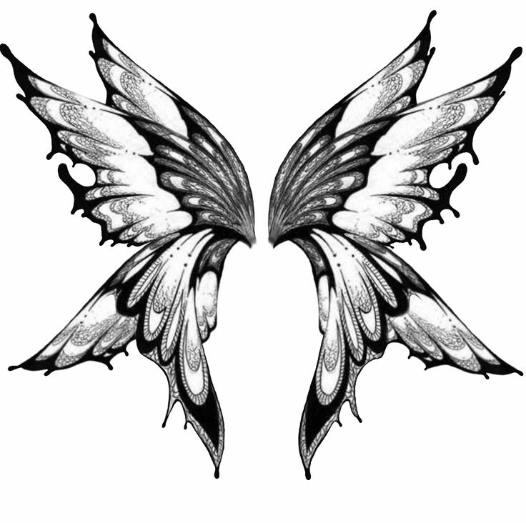 two wings that are drawn in black and white