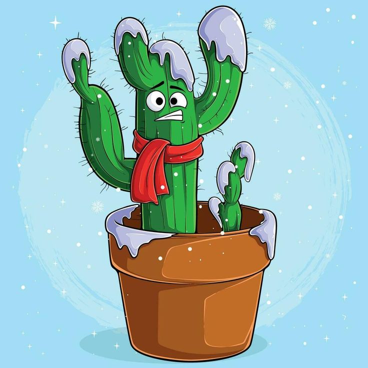 a cartoon cactus in a pot with snow on it's ground and wearing a red scarf