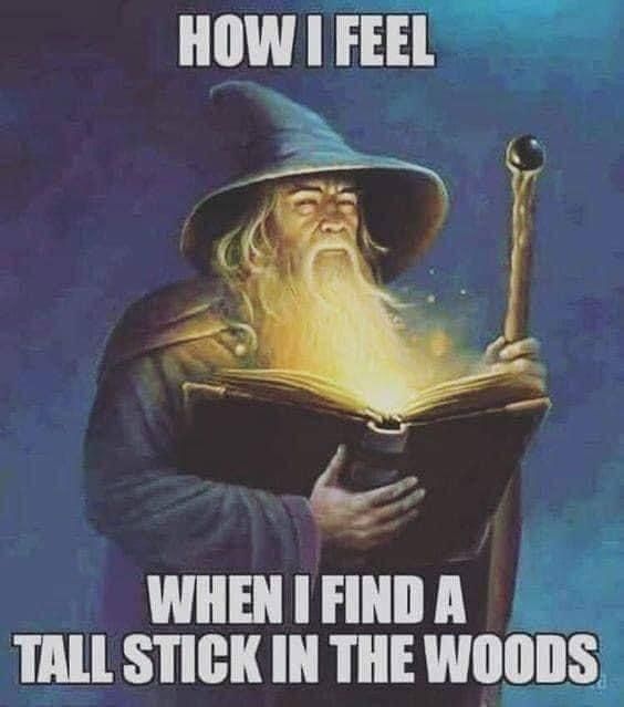 an old wizard reading a book with the caption how i feel when i find a tall stick in the woods