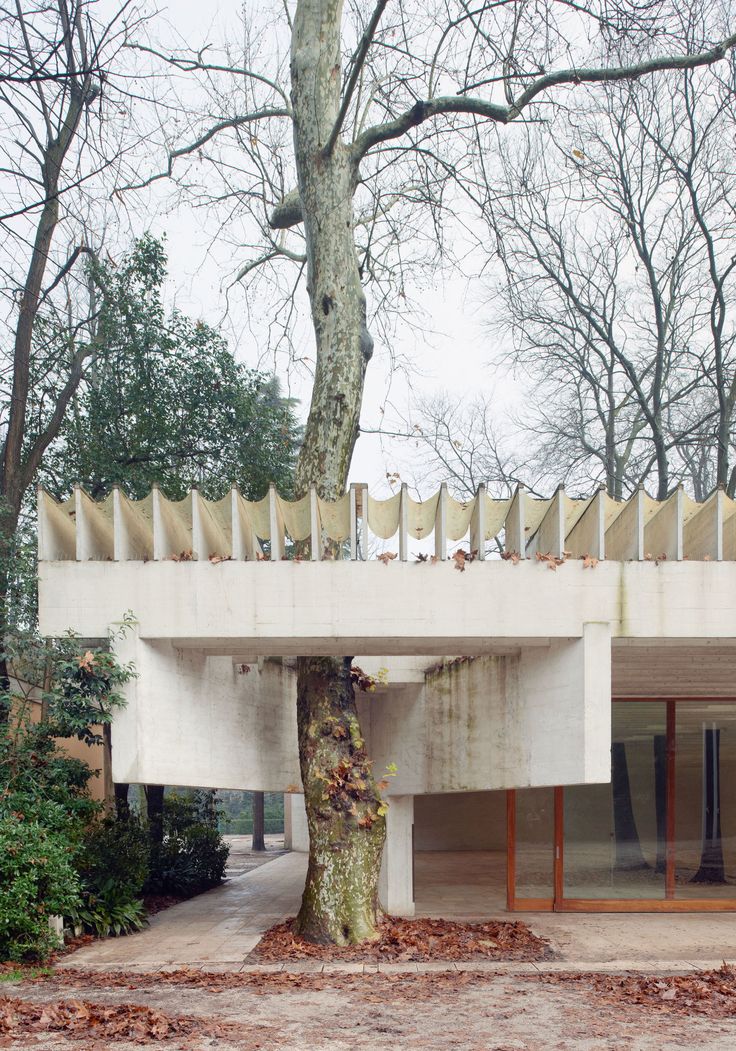 a large tree in front of a building with an overhang and stairs on the roof