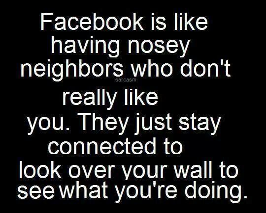 the words facebook is like having nosey neighbors who don't really like you they just stay connected to look over your wall to see what you're doing