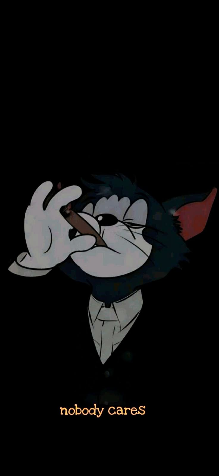 an animated cat with the words nobody cares on it's face in front of a black background