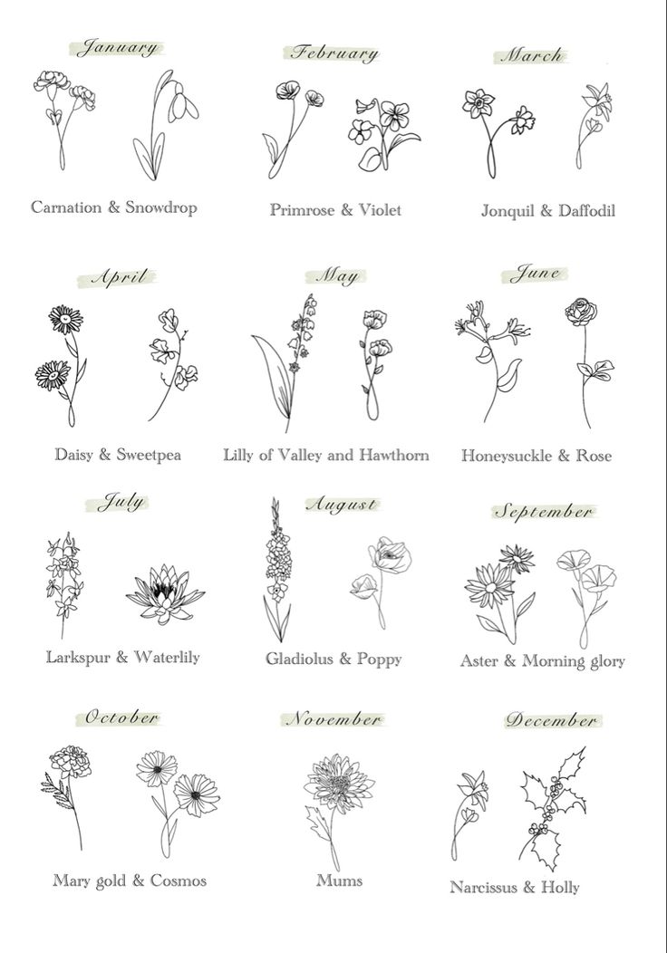 Fine line drawings of birth flowers January March August Birth Flower Tattoo, Birth Wildflower Tattoo, Birth Month Flower December, December And July Birth Flower Tattoo, Flowers Of Each Month, November And June Flower Tattoo, Flower For October Birth, September Birthday Flower, Dec Birth Flower Tattoos