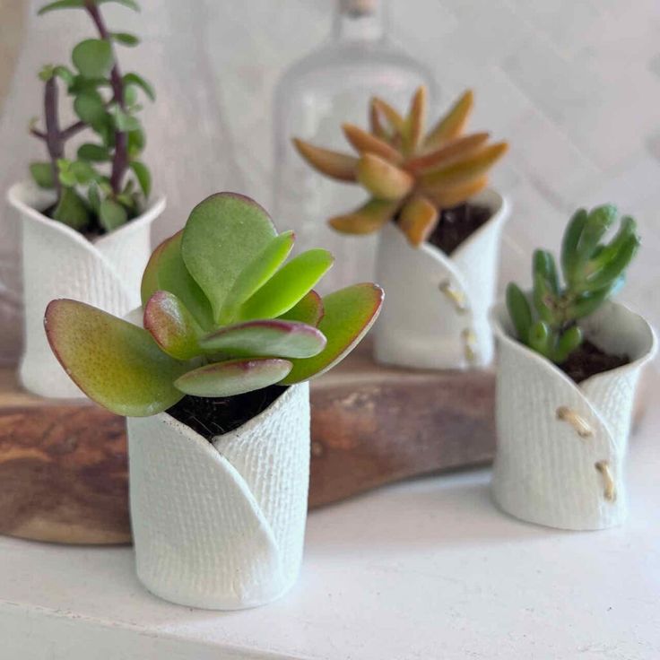 small succulents are in white vases on a table with a wooden stick