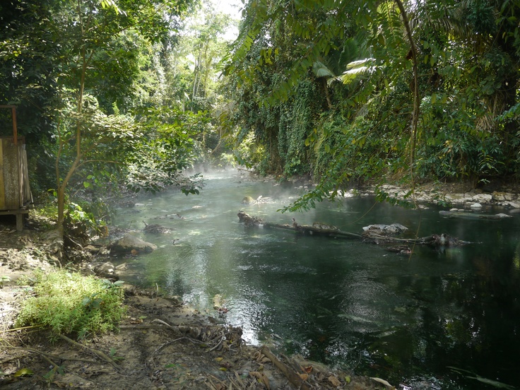 a river with steam rising from it surrounded by trees