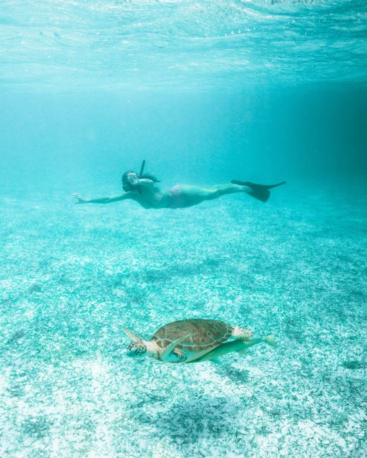 a woman swimming in the ocean next to a turtle