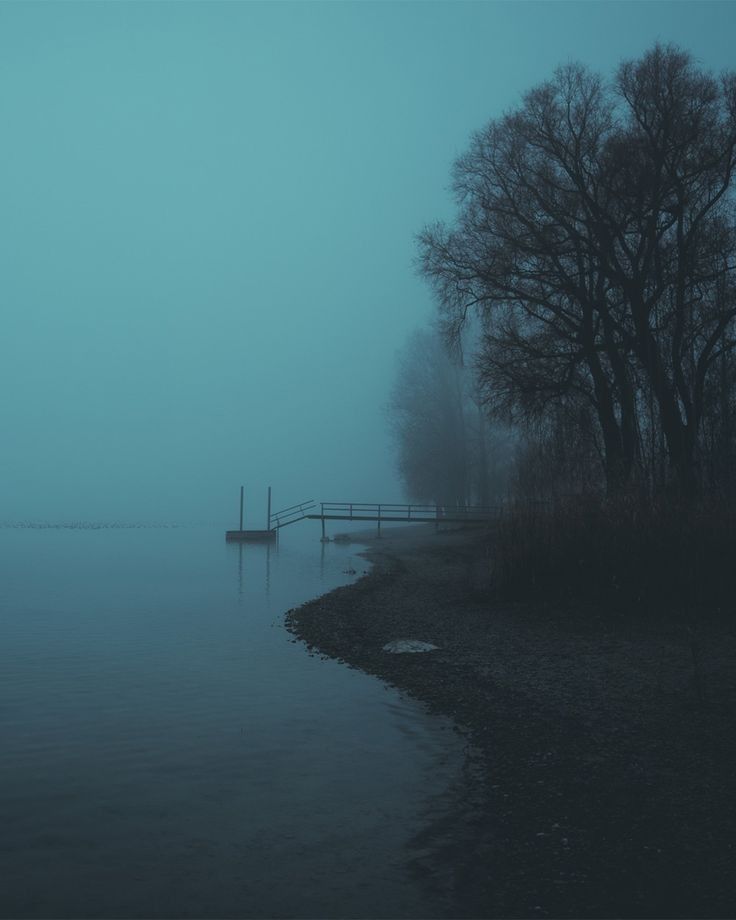 a body of water surrounded by trees in the middle of foggy day with a dock on it