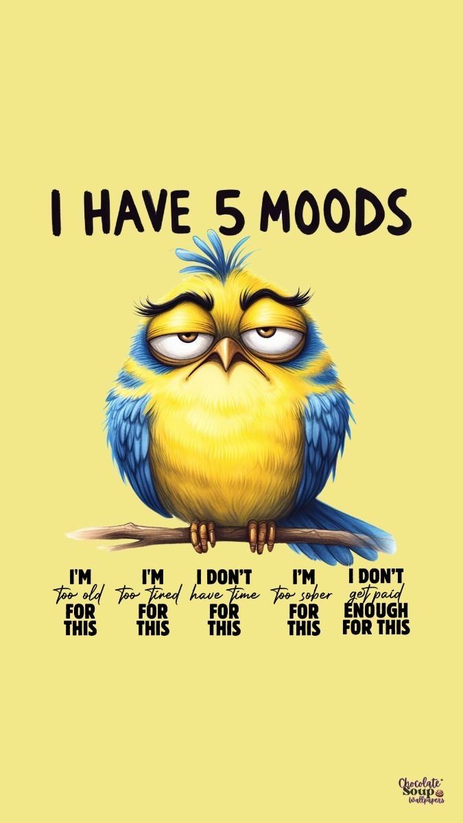 a yellow bird sitting on top of a branch with the words i have 5 modds