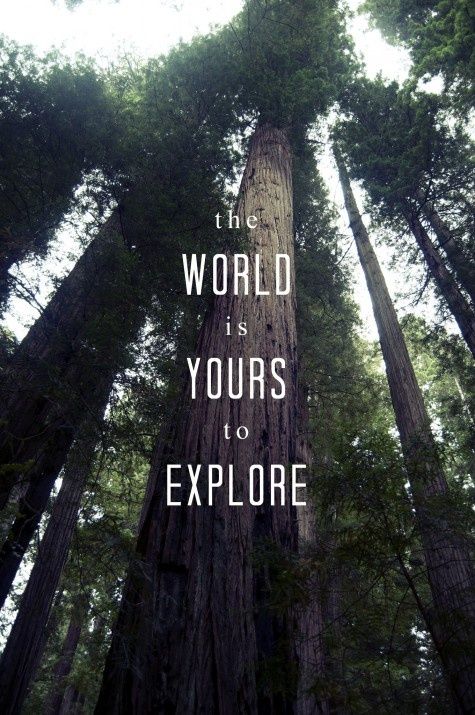 the world is yours to explore with trees in the foreground and words above it