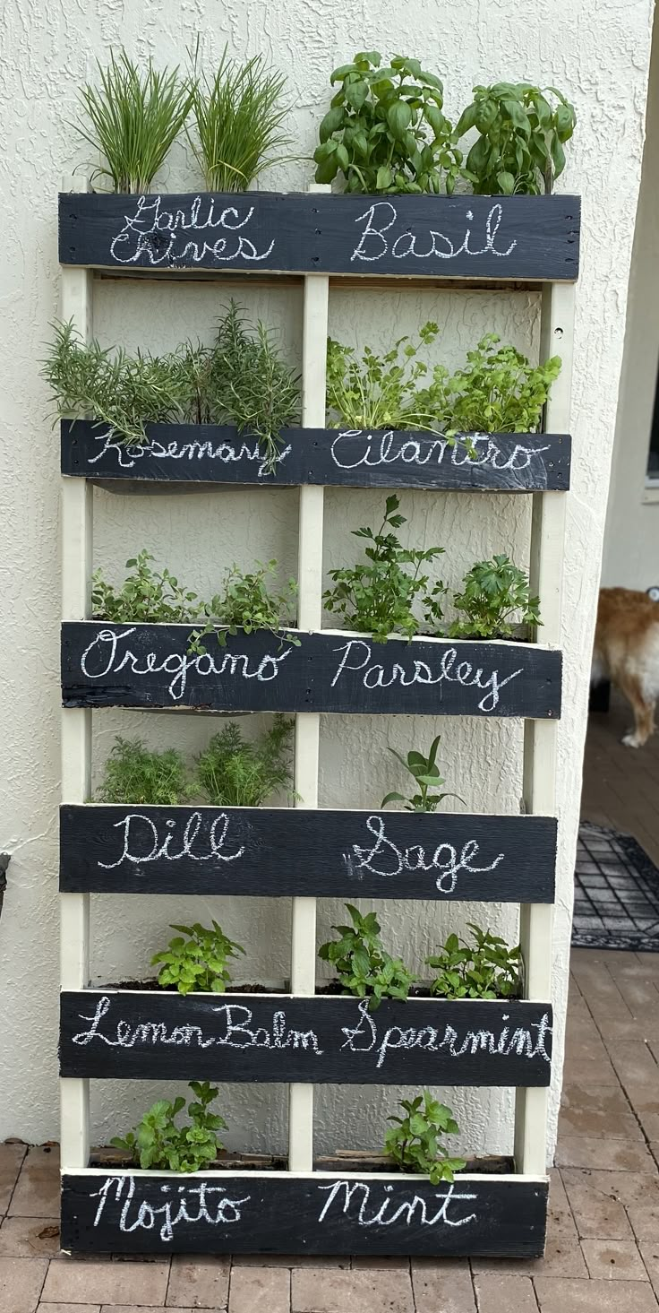 an old pallet is transformed into a herb garden