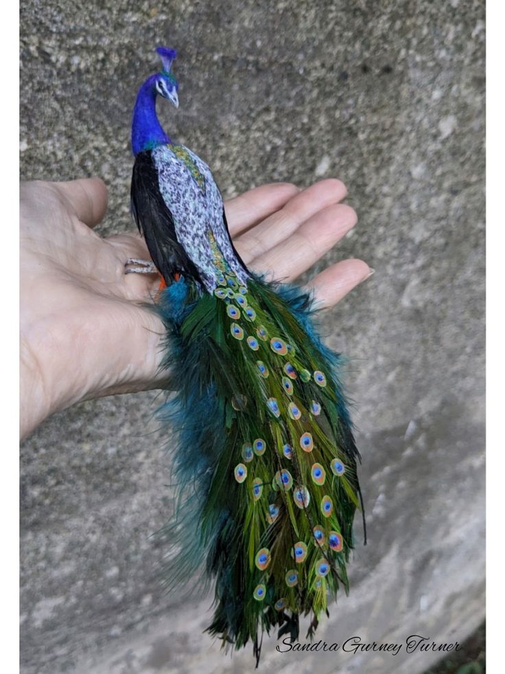 a hand holding a small blue and green bird on it's palm next to a stone wall