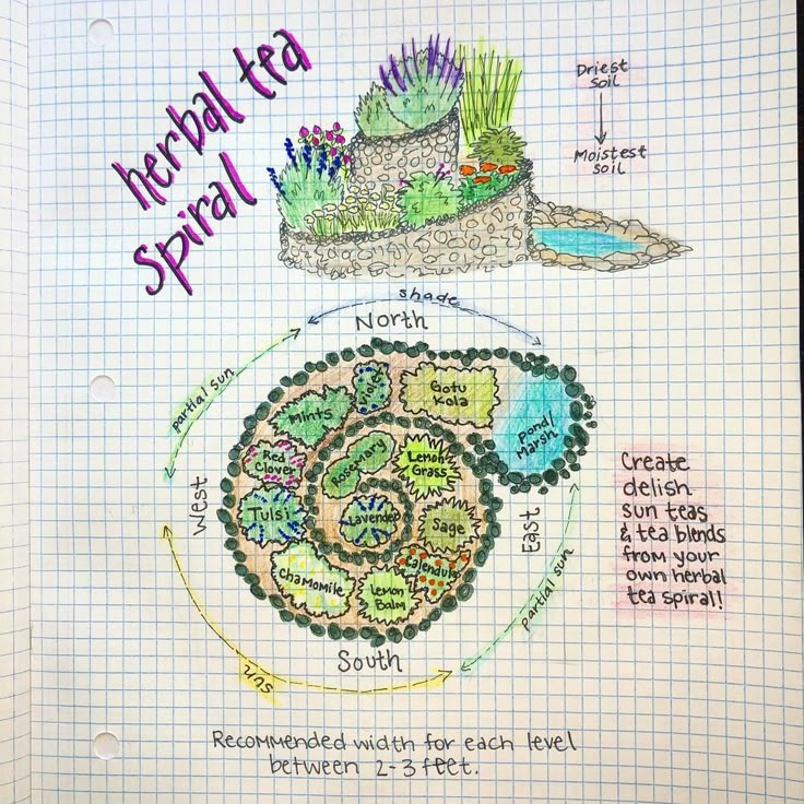 a drawing of a spiral tree with the words, natural tea and plant life on it