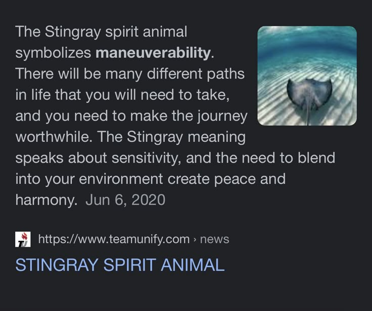 the sting ray spirit animal symbolizes maneuver ability there will be many different paths in life that you will need to take, and you need to make the journey worth