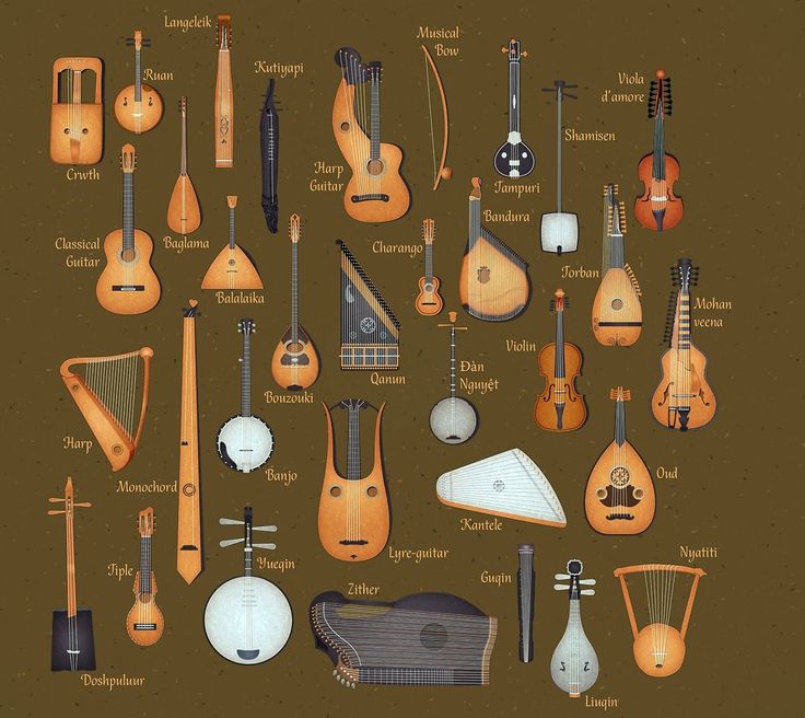 an image of different types of musical instruments