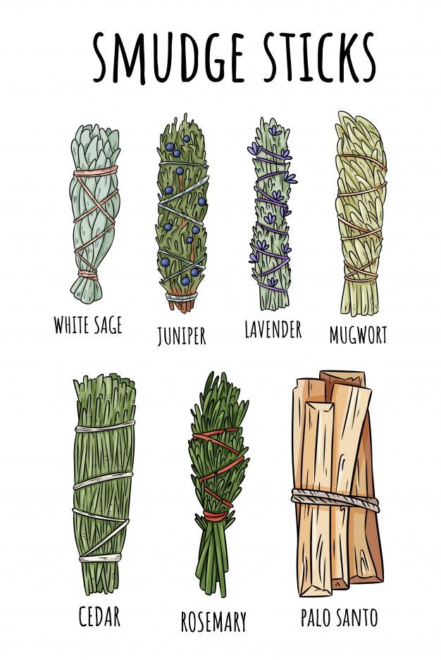 Sage smudge sticks hand-drawn set. herb ... | Premium Vector #Freepik #vector #hand #summer #leaf #medical Herb Bundles, Sage Smudge Sticks, Witch Tools, Sage Smudge, Smudge Sticks, White Sage, Drawing Set, Book Of Shadows, Planner Stickers