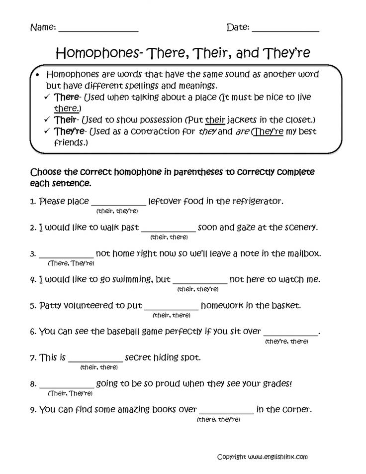 worksheet for homos and homole in the classroom with two different types of homo