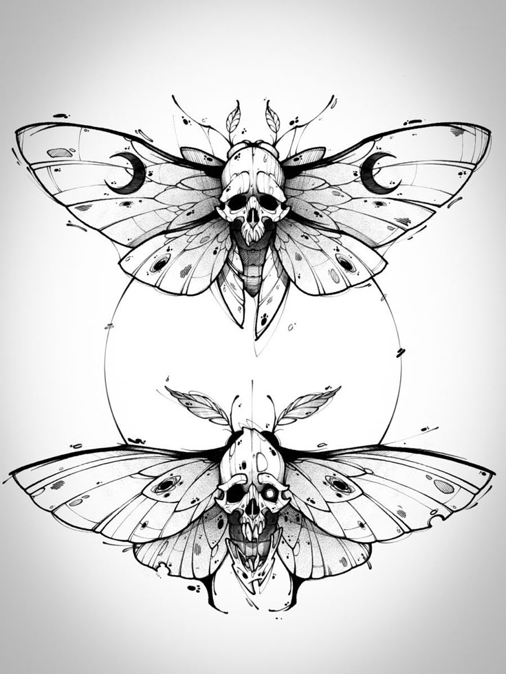 three moths with skulls on their wings