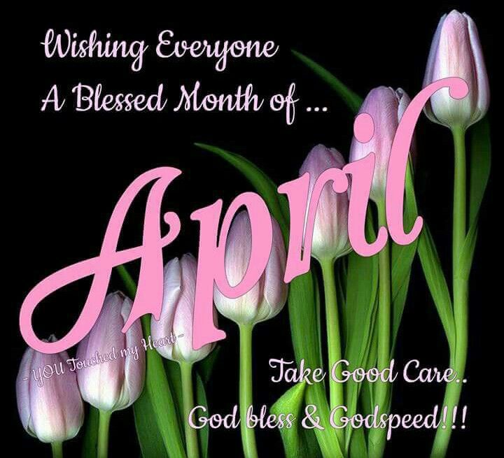 pink tulips with the words, wishing everyone a blessed month of apript