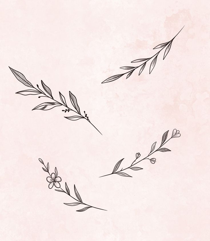 two flowers and leaves are drawn in black ink on a light pink background with a faded paper texture