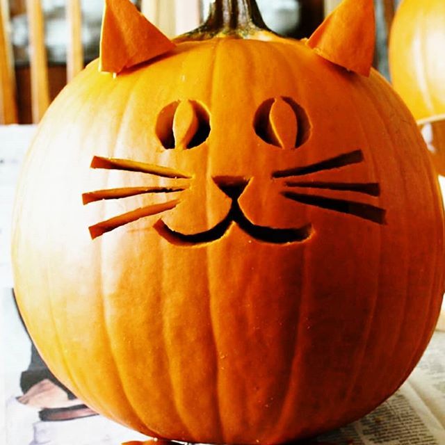 a pumpkin with a cat's face carved into it sitting on top of a table