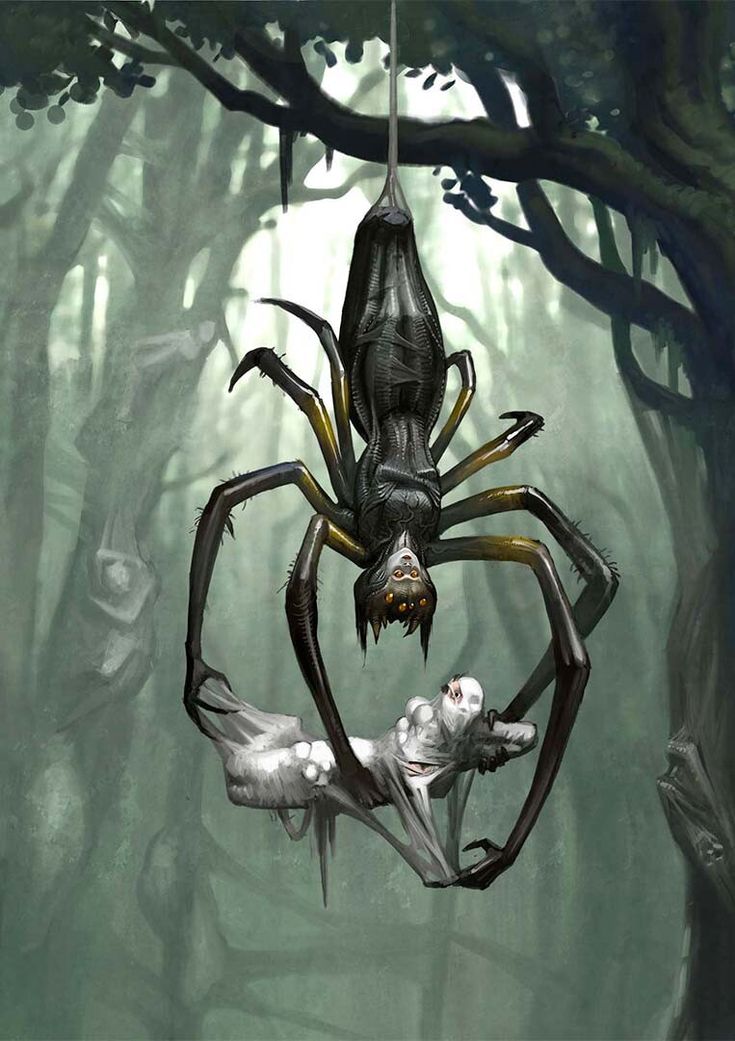 a spider hanging upside down in the middle of a forest with two dead people underneath it