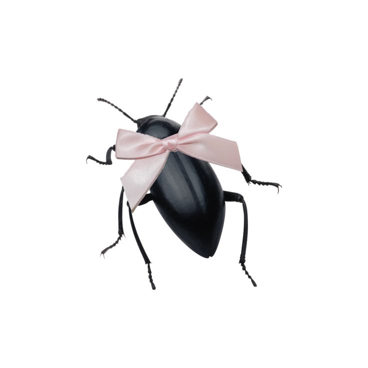 a black beetle with a pink bow on its back