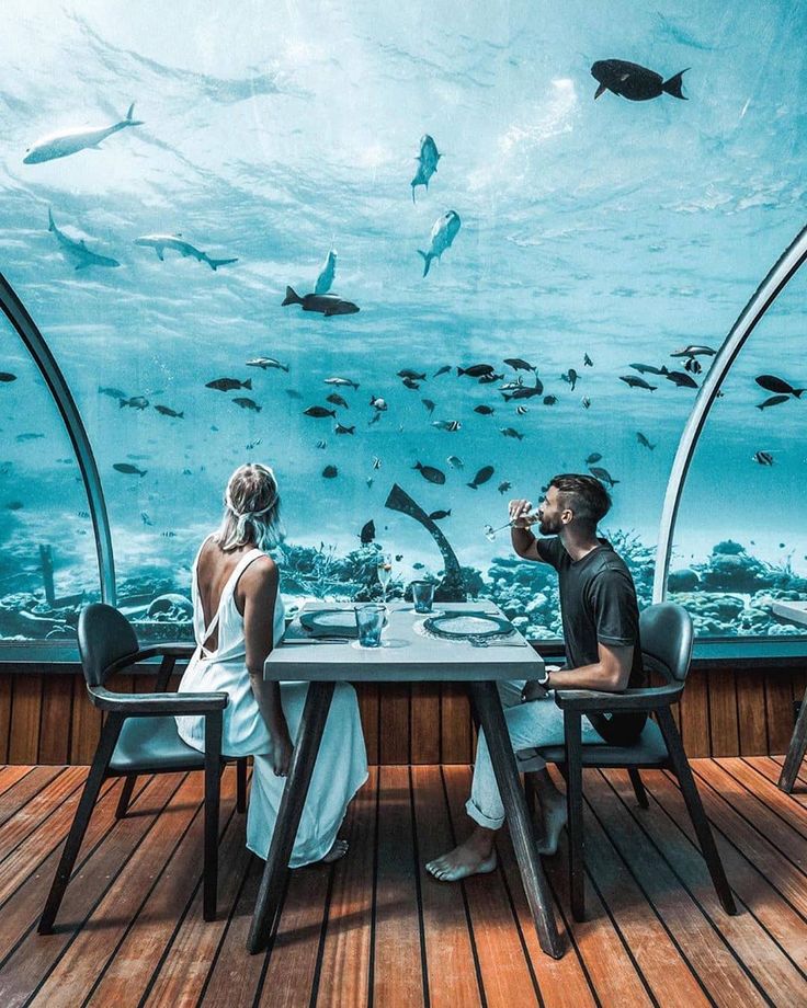 two people sitting at a table in front of an aquarium