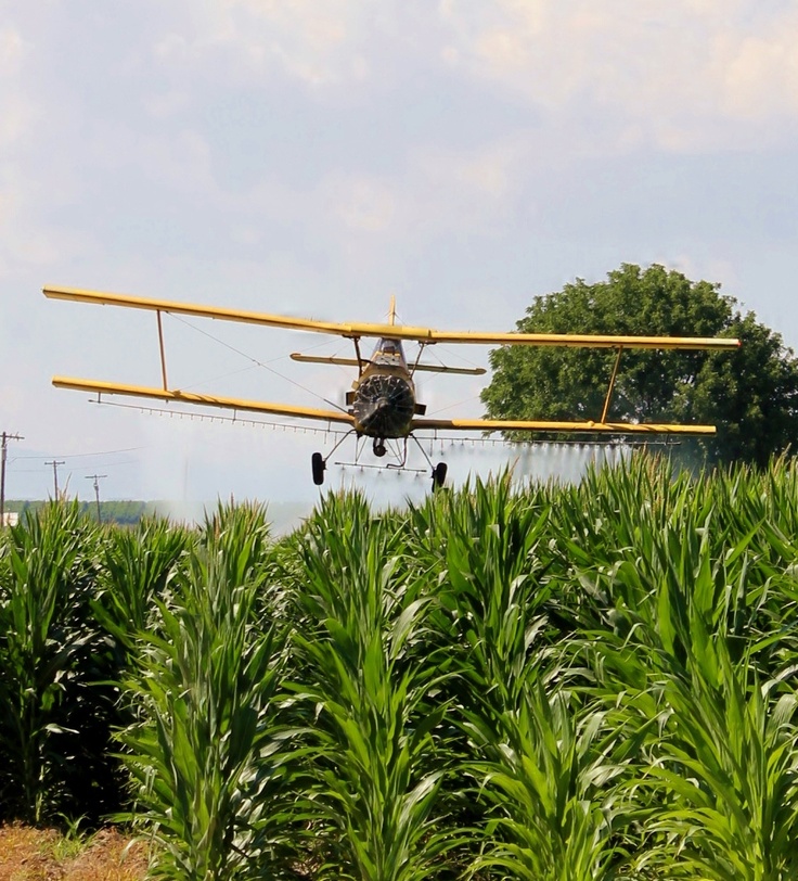 an airplane flying low over a corn field