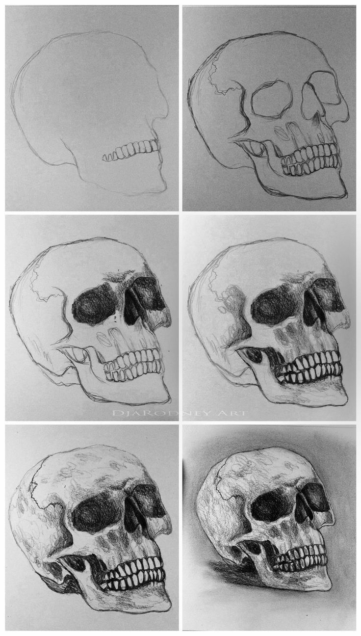 six different views of the same human skull