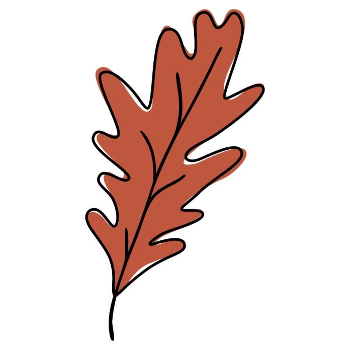 a single red oak leaf is shown on a white background in this hand drawn doodle style