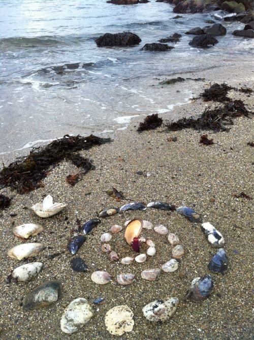 a heart made out of seashells on the beach next to the ocean water