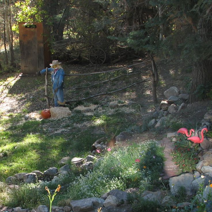 a man with a hat standing in the woods next to some rocks and plants,