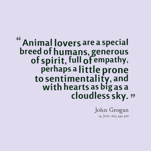 john grogan quote animal lovers are a special breed of humans