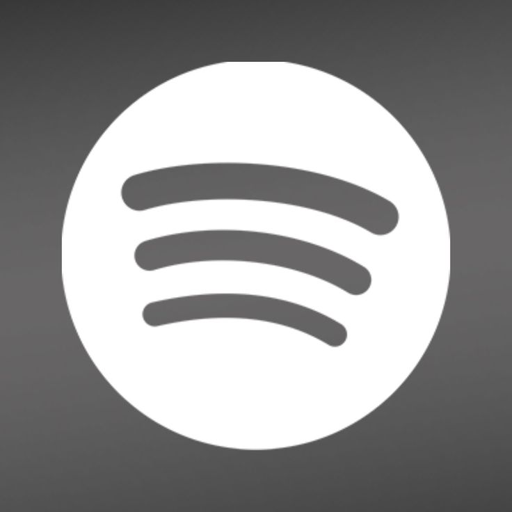 the spot music logo in white on a gray background with black and white circles around it