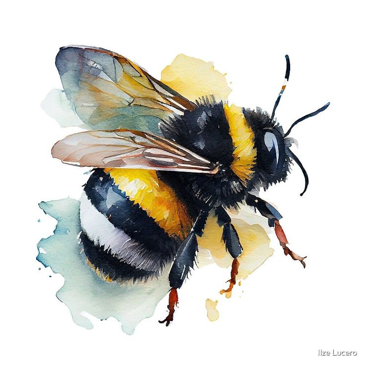 a watercolor painting of a bee on a white background with yellow and black stripes