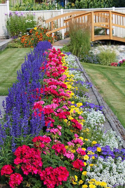 colorful flowers line the edge of a flower bed