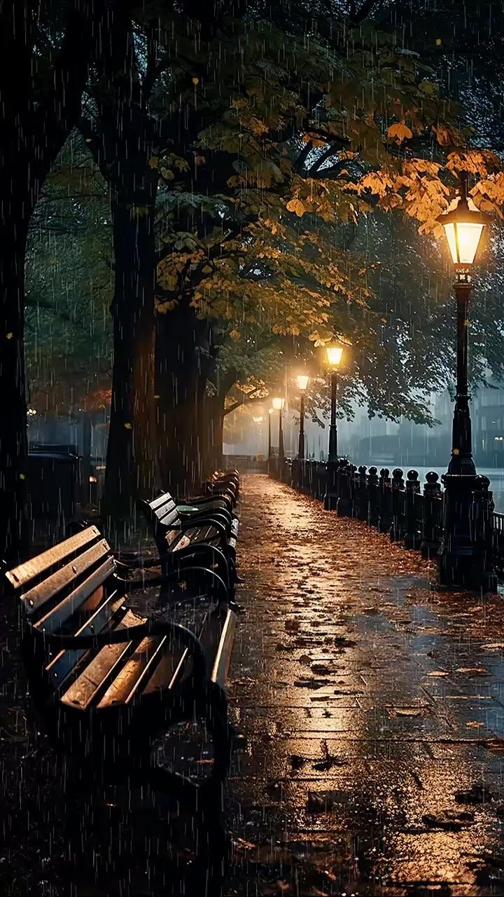 an empty park bench in the rain at night