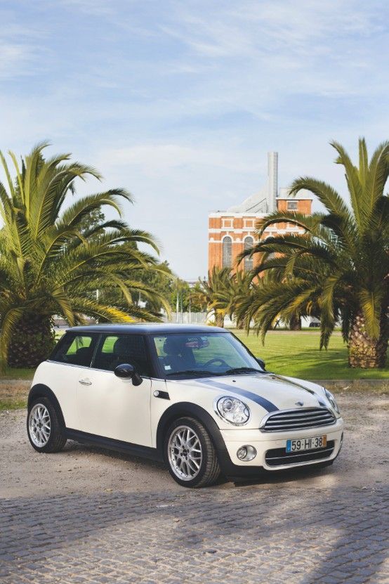 a white and black mini car parked in front of palm trees on a cobblestone road