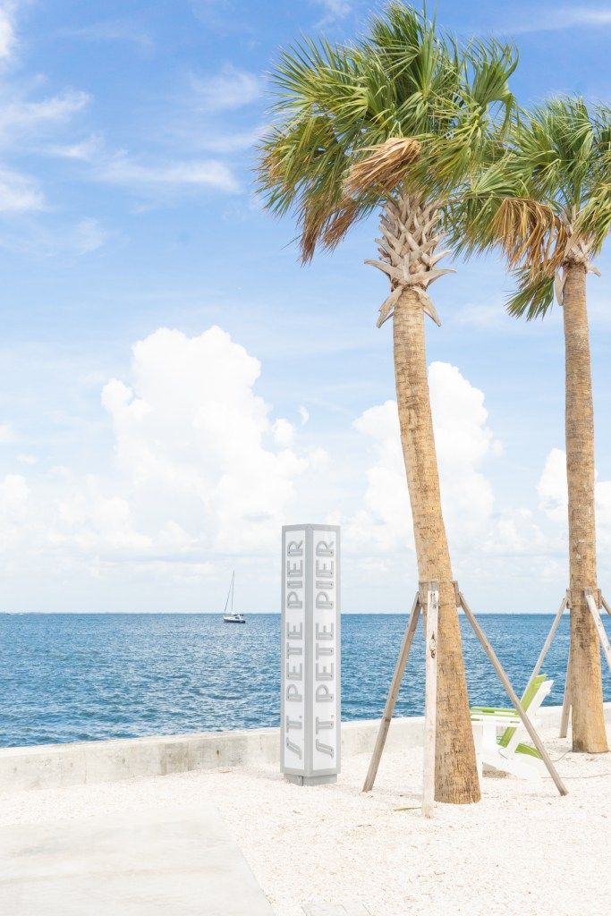 there are two palm trees on the beach