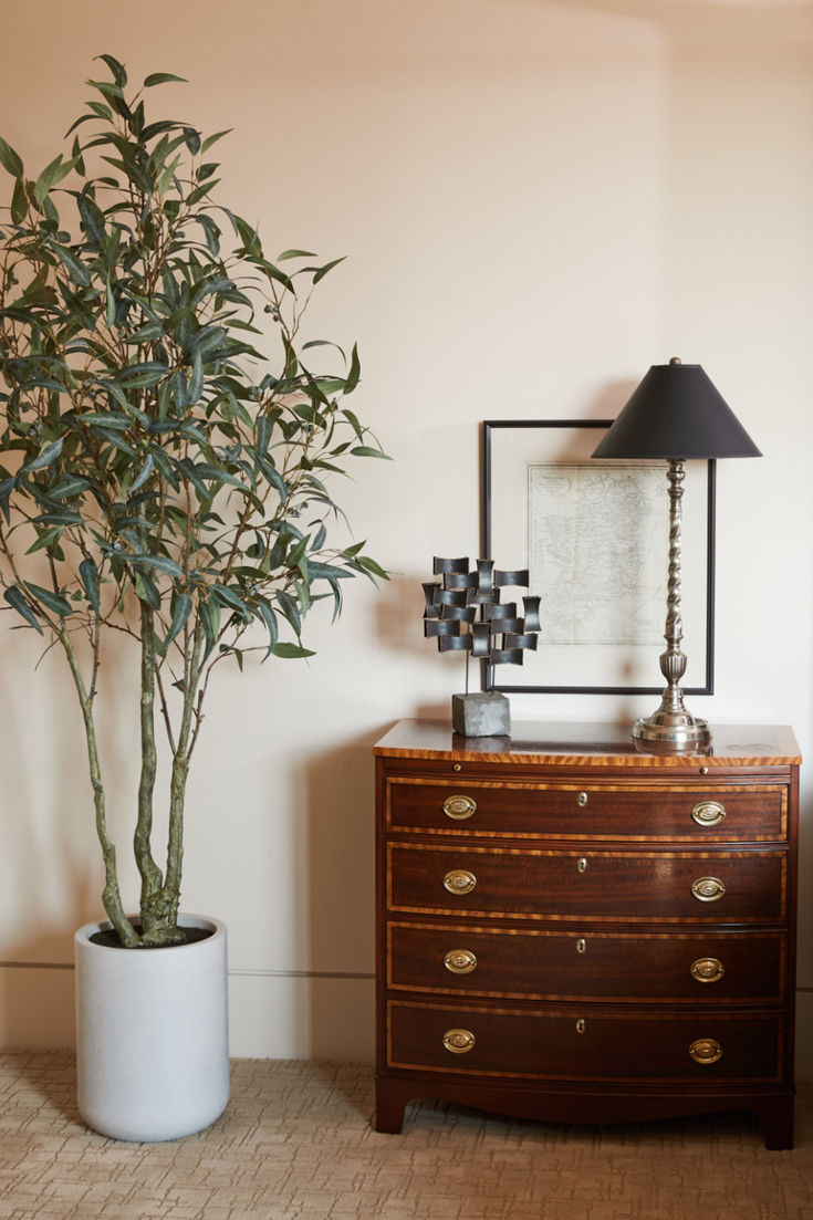 a potted plant sitting on top of a wooden dresser next to a mirror and lamp