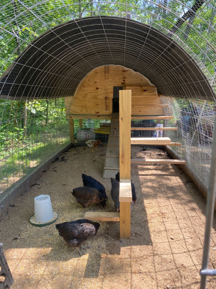 several chickens in a chicken coop under an awning