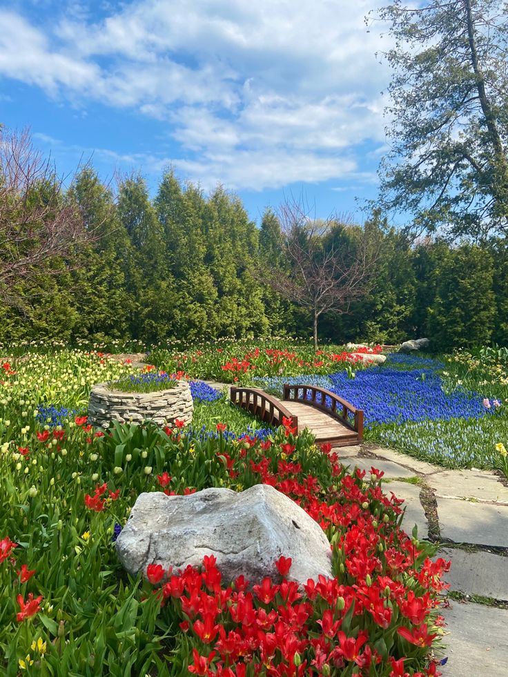 a wooden bridge surrounded by colorful flowers and trees with blue sky in the back ground