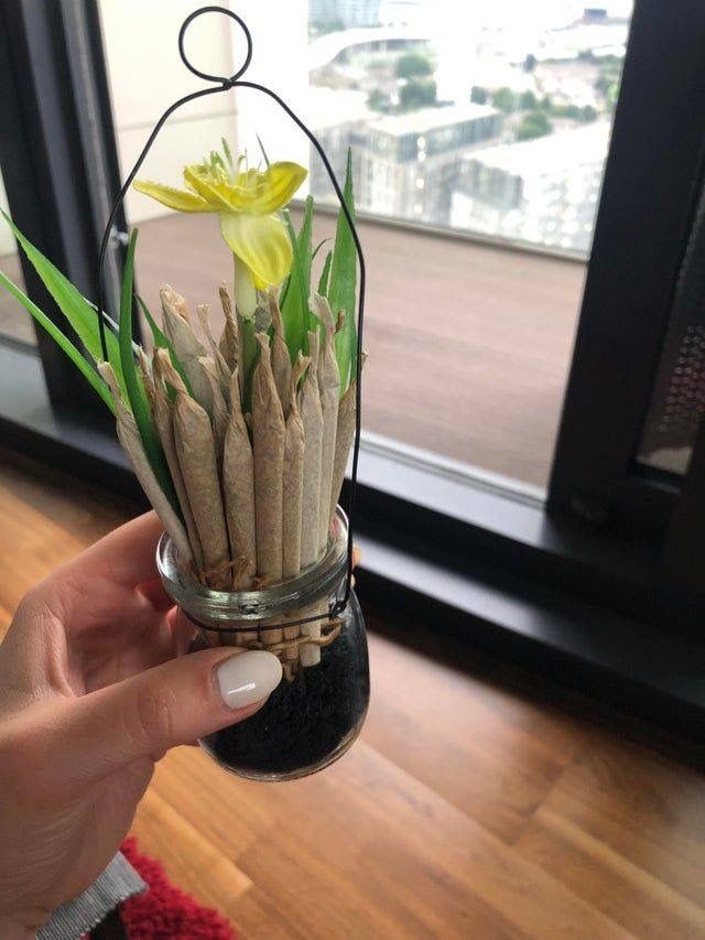 a person holding up a glass jar with flowers in it on a wooden floor next to a window